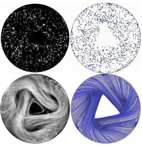 Partial particle accumulation in a liquid bridge (strange PAS):
Experiment versus Numerics
T. Sano, R. Mukin, I. Ueno, H. C. Kuhlmann. Science Univ. Tokyo / Vienna Univ. Tech.